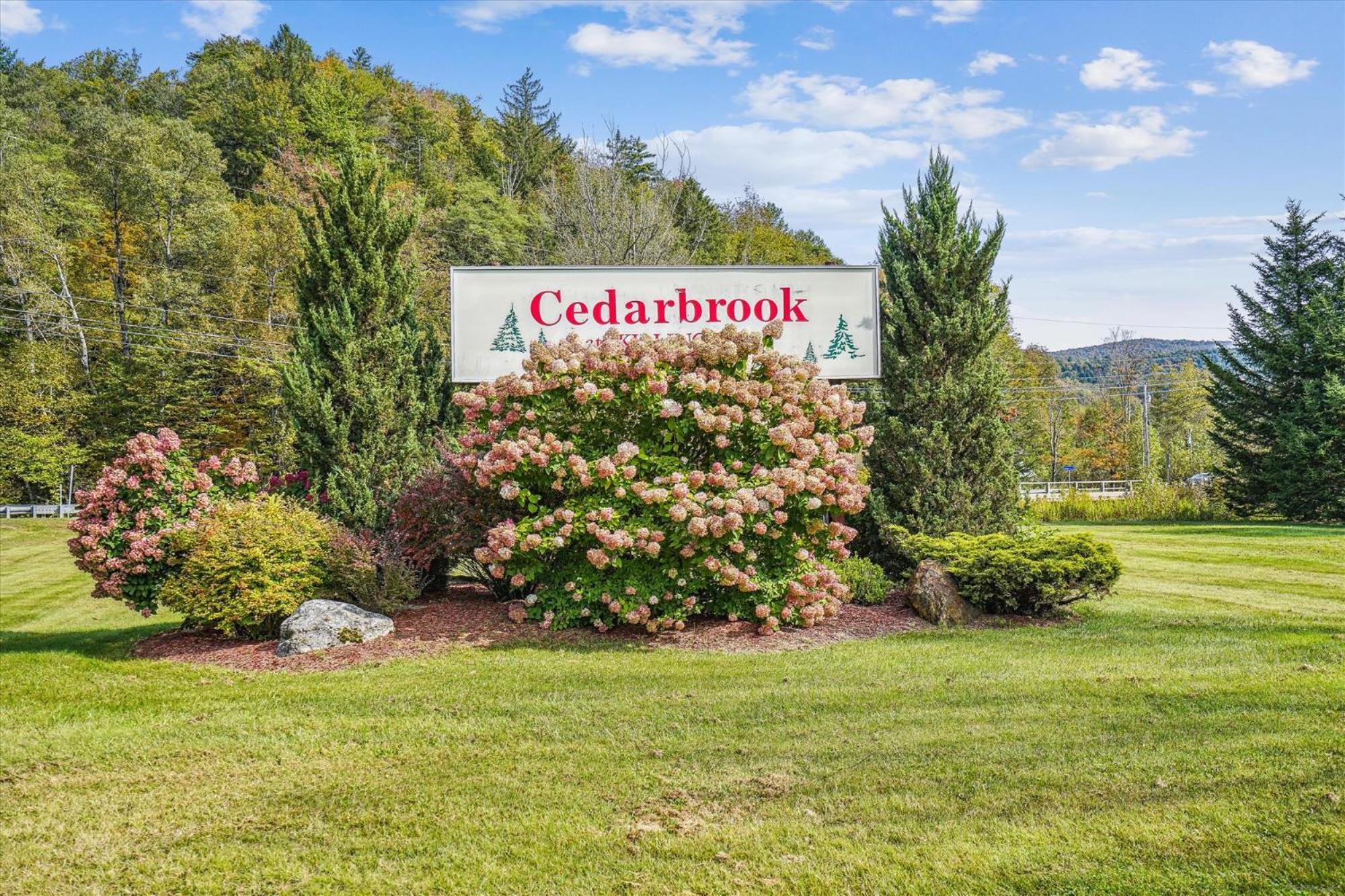 Cedarbrook Queen Suite 202 كيلنغتون المظهر الخارجي الصورة
